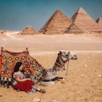 Places to visit in Cairo in one day